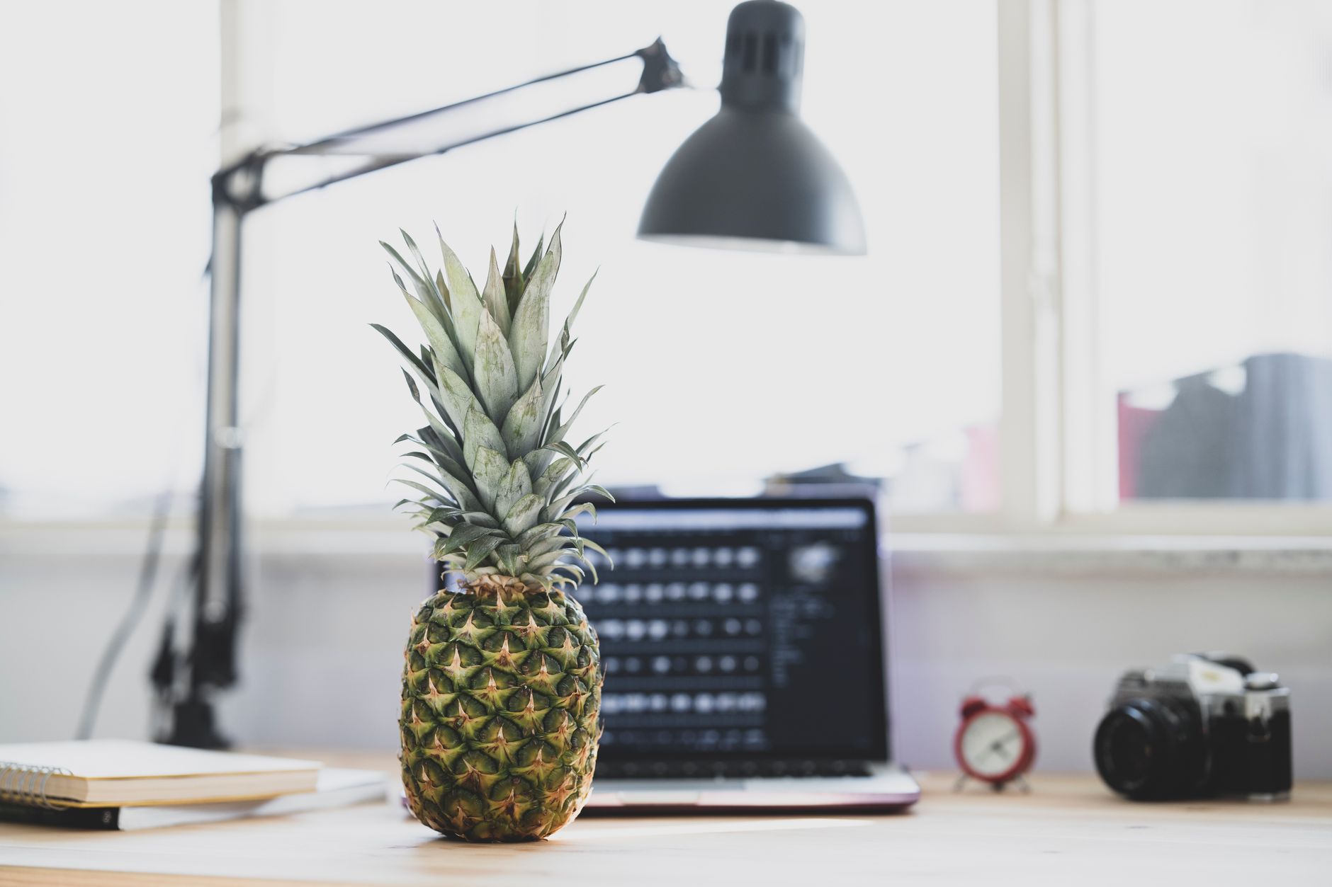 The Energy Circles Method for Productivity Across Multiple Jobs: How to Prioritize Without Losing Balance