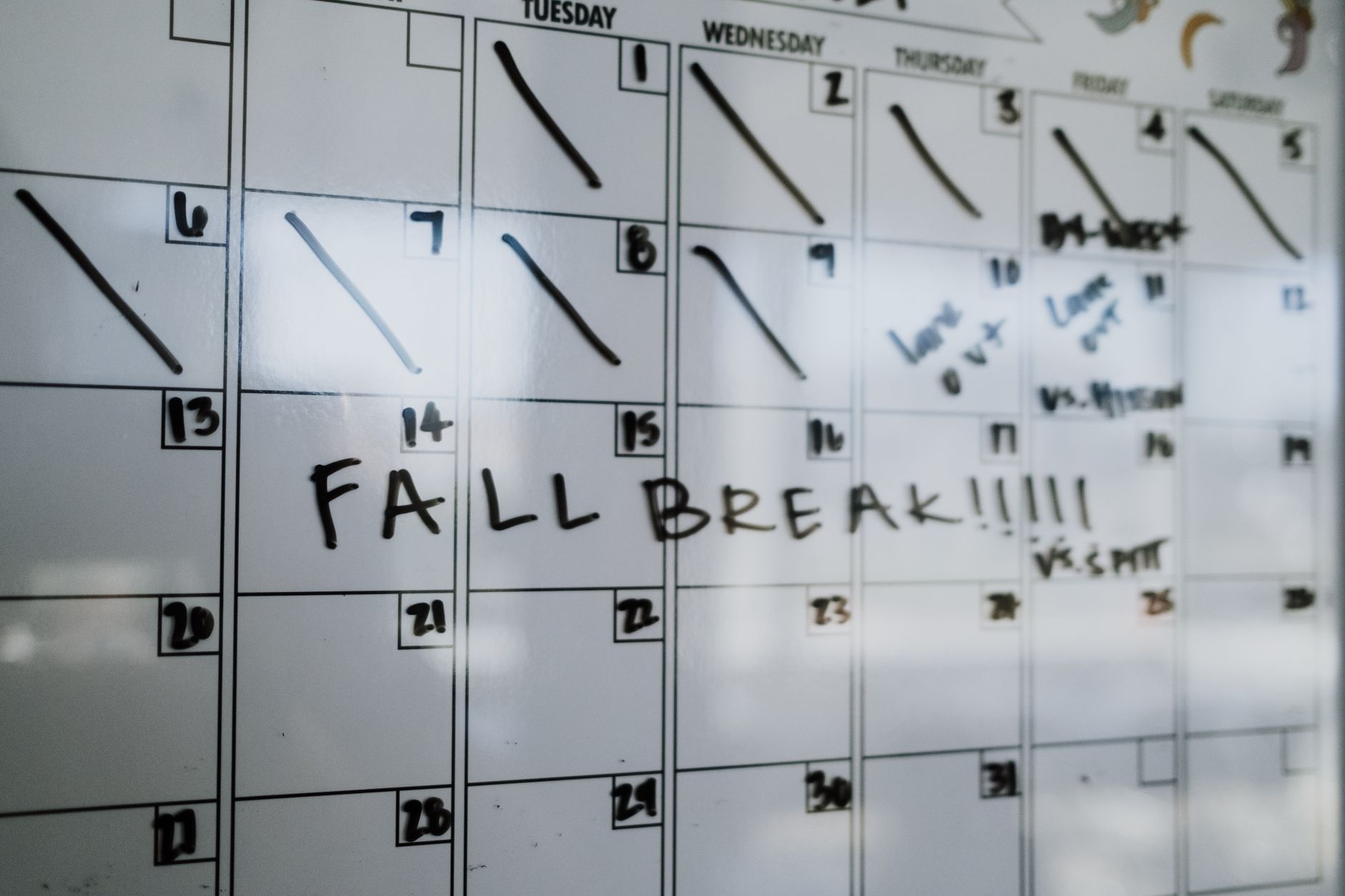 Calendar with 90-minute time blocks highlighted for productivity